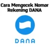 Cara Melihat Nomor Rekening Dana Dengan Mudah Anti Ribet !