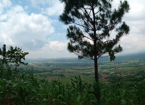 Gunung Karang