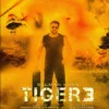 Inilah 4 Perbedaan Tiger 3 dengan Tiger Zinda Hai yang Paling Menonjol