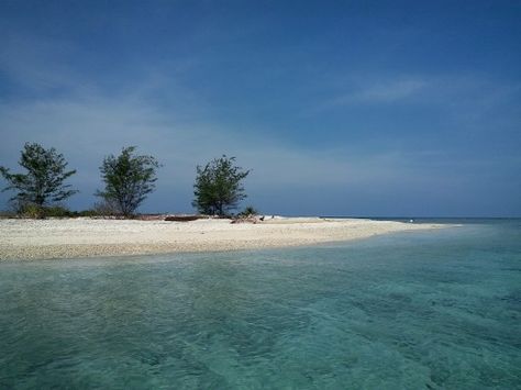 Pulau payung