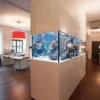 Aquarium Minimalis