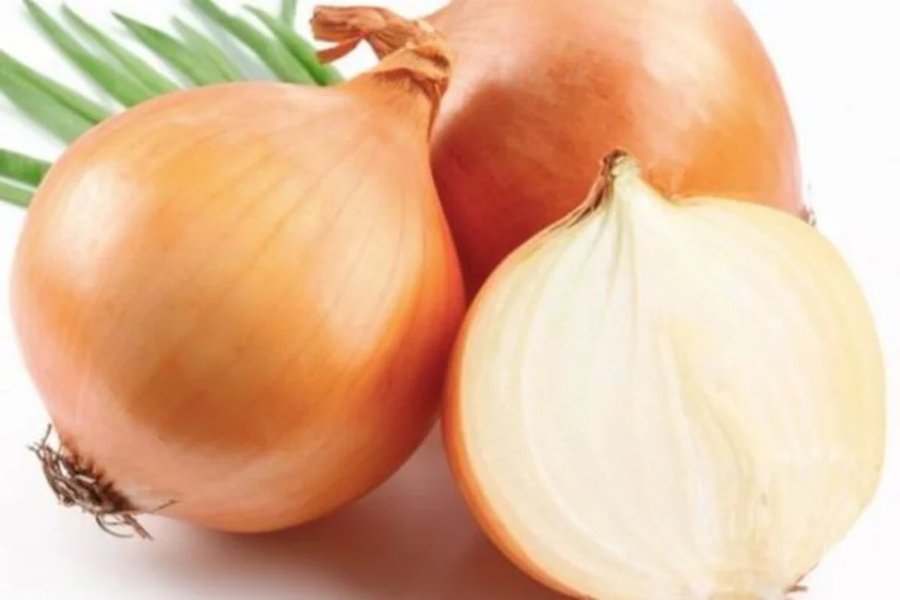 Manfaat bawang bombai untuk kecantikan, salah satunya bisa mencegah penuaan dini Manfaat bawang bombai untuk kecantikan, salah satunya bisa mencegah penuaan dini