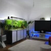 ide menciptakan desain aquarium minimalis