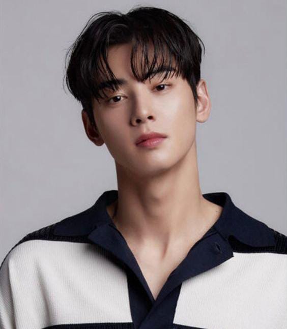 Cha Eun Woo