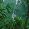 curug cikaracak