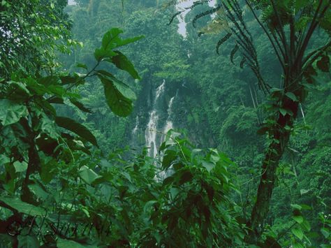 curug cikaracak