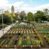 urban farming