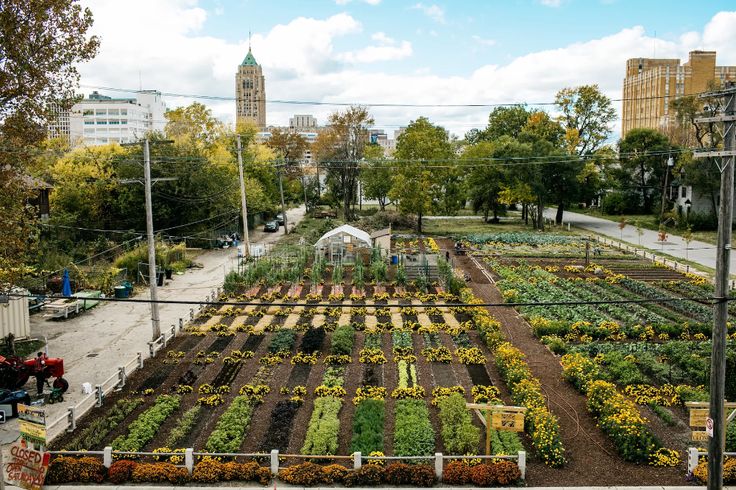 urban farming