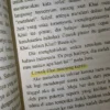 Novel Indonesia