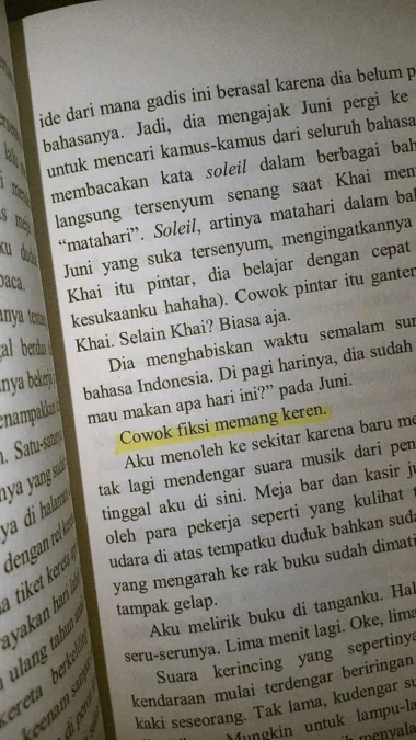 Novel Indonesia