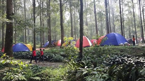 Puncak Halimun Camp