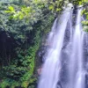 Curug ciampea