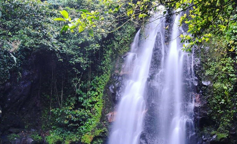 Curug ciampea