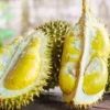 5 Tempat Makan Durian di Bandung yang Paling Enak dan Surga Bagi Pecinta Durian