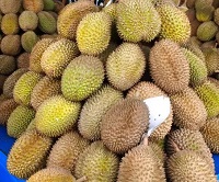 5 Tempat Makan Durian yang Ada di Jakarta yang Dijamin Enak dan Ketagihan