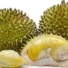 5 Tempat Makan Durian di Medan, Cocok Untuk Pecinta Durian Bisa Makan Sampai Puas