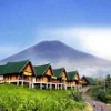 5 Tempat Wisata alam di Pagaralam, yang Sangat Memanjakan Mata