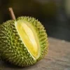 5 Wisata Petik Buah Terbaik dan Paling Populer, Cocok Untuk Liburan Bareng Keluarga di Akhir Tahun