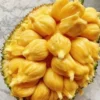 5 Fakta Tentang Buah Cempedak, Buah Seperti Nangka Namun Memiliki Wangi yang Sangat Menyengat Sekali