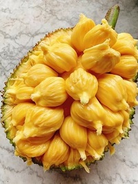 5 Fakta Tentang Buah Cempedak, Buah Seperti Nangka Namun Memiliki Wangi yang Sangat Menyengat Sekali