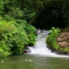 Destinasi Tempat Wisata Curug Layung yang Menakjubkan di Tengah Hutan Pinus