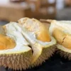 5 Fakta Tentang Durian, Si Raja Buah yang Sangat Digemari Oleh Semua Orang