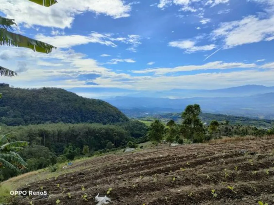 Rekomendasi Destinasi Wisata Alam di Banjarnegara yang Instagramable dan Menakjubkan