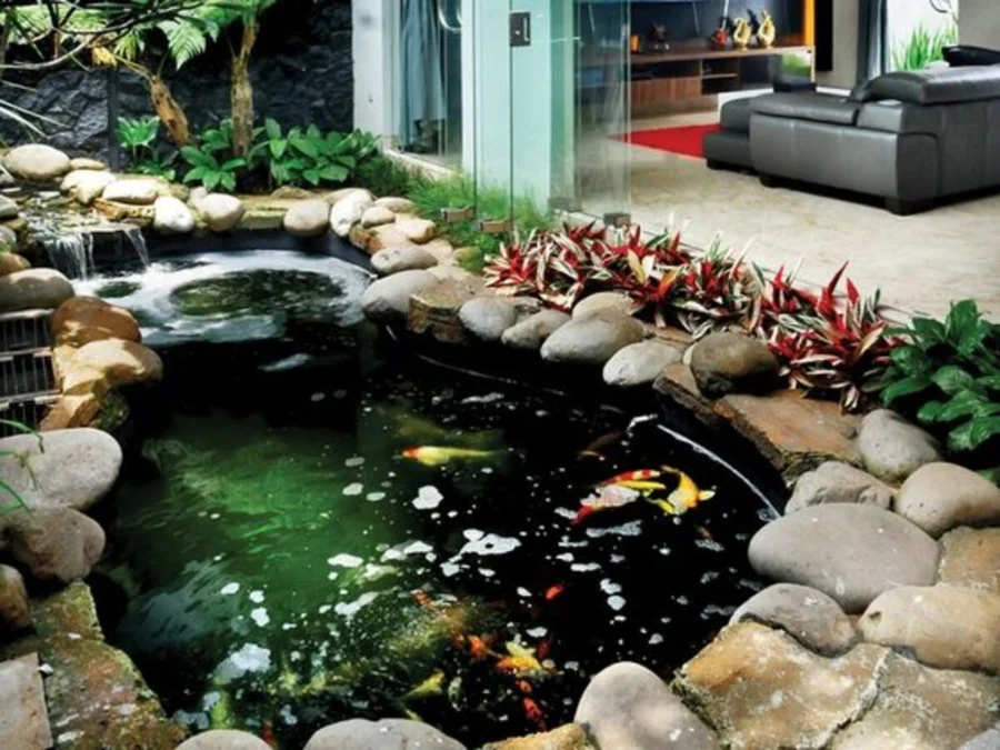 Bikin Rumah Tambah Nyaman! Inilah Inspirasi Desain Kolam Ikan Minimalis di Depan Rumah