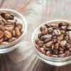 Manfaat Kopi Robusta bagi Kesehatan Tubuh