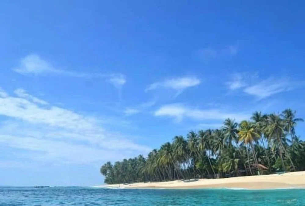 Pulau Pisang, Destinasi Wisata Bahari Tersembunyi yang Menawan di Pesisir Barat