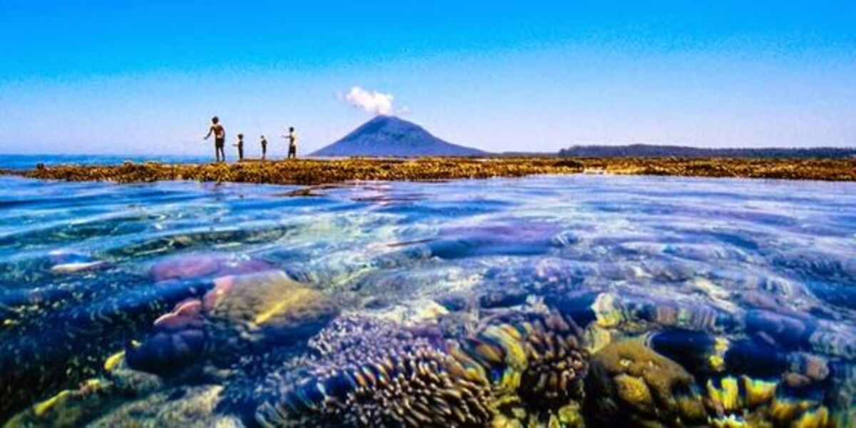 Aktivitas Wisata Favorit di Taman Nasional Bunaken, Surga Bawah Laut Indonesia