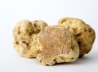 25 Fakta Menarik Mengenai White Truffle, Bahan Penting Dalam Makanan Italia