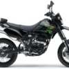 Kawasaki D-Tracker X