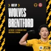 Wolves vs Brentford