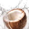 Air Kelapa: Minuman Sehat yang Menyegarkan dan Mengandung Elektrolit