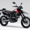 kawasaki D-TRACKER X