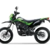 kawasaki D-TRACKER X