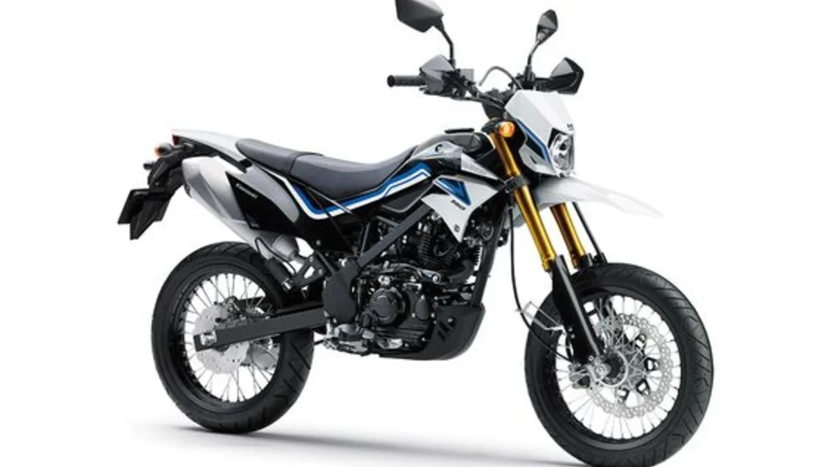 kawasaki D-TRACKER X