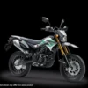 kawasaki D-TRACKER X