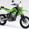 kawasaki D-TRACKER X