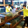 10 Tempat Wisata Kuliner Seafood yang ada di Tiongkok Wajib Kamu Kunjungi 