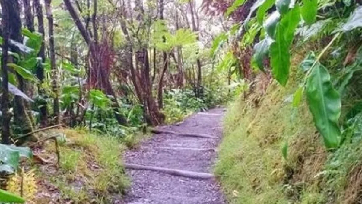 10 Wisata yang ada di Hawai yang Sangat Indah Sekali dan Menyejukan Mata 