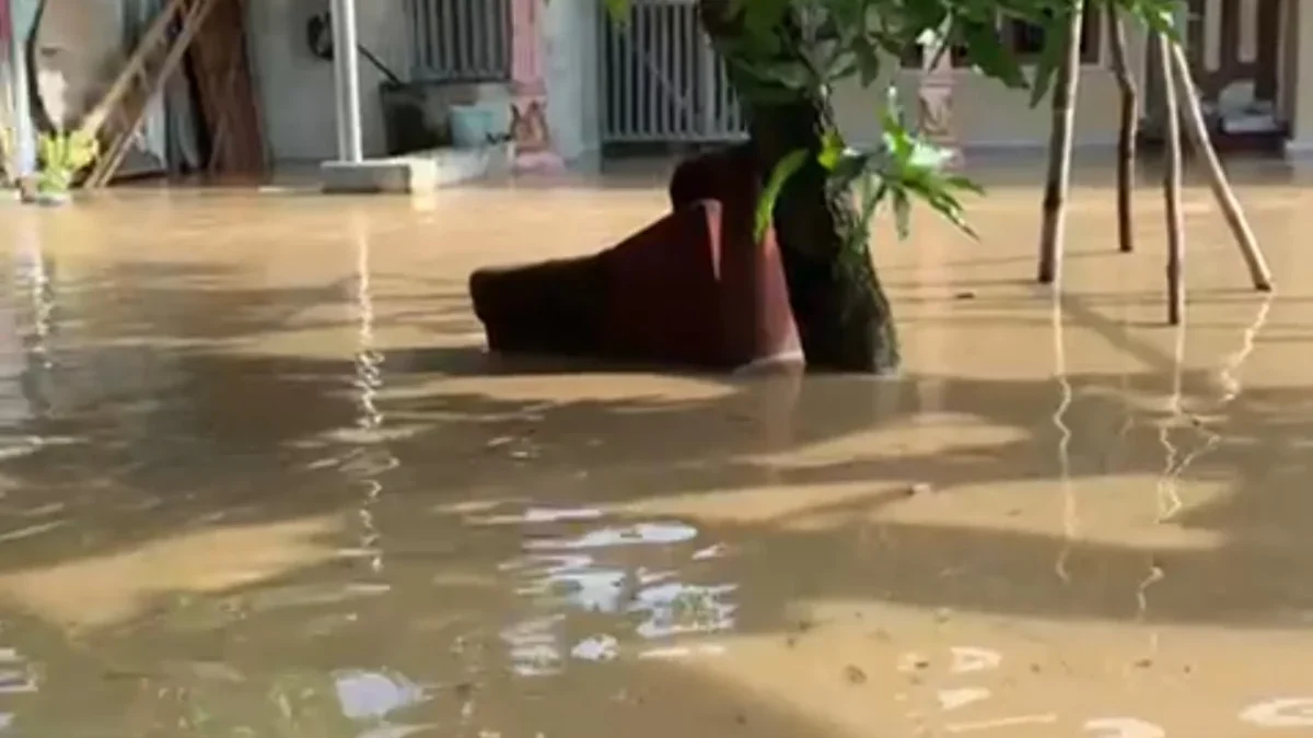 Banjir di Cirebon Timur