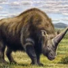 5 Fakta Menakjubkan Elasmotherium, Badak Raksasa Pra Sejarah 