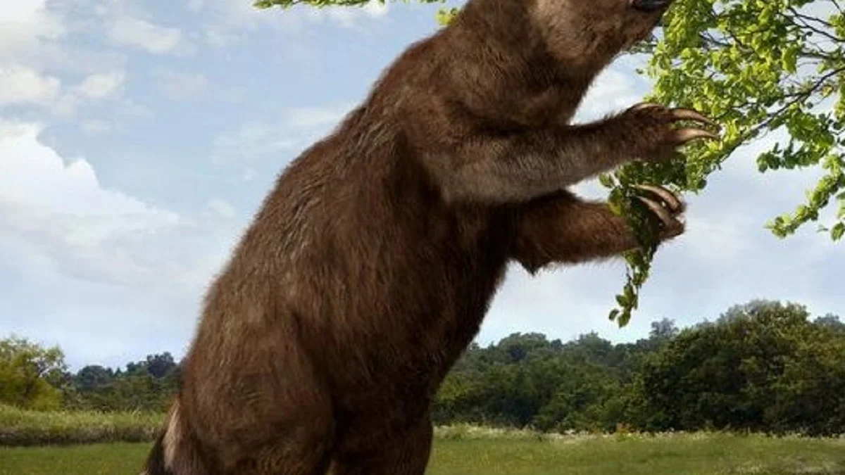 5 Fakta Menakjubkan Tentang Megatherium, Nenek Moyang Kukang Modern 