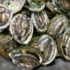 5 Olahan yang Berbahan Dasar Kerang Abalone yang Sangat Enak dan juga Bikin Ngiler 