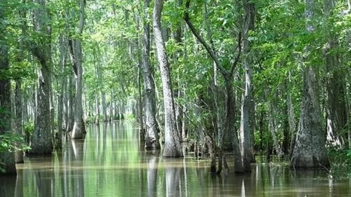 10 Sungai Terpanjang di Benua Amerika, Kamu yang Suka Alam Wajib Kamu Kunjungi Karena Keindahan Alam di Sekita