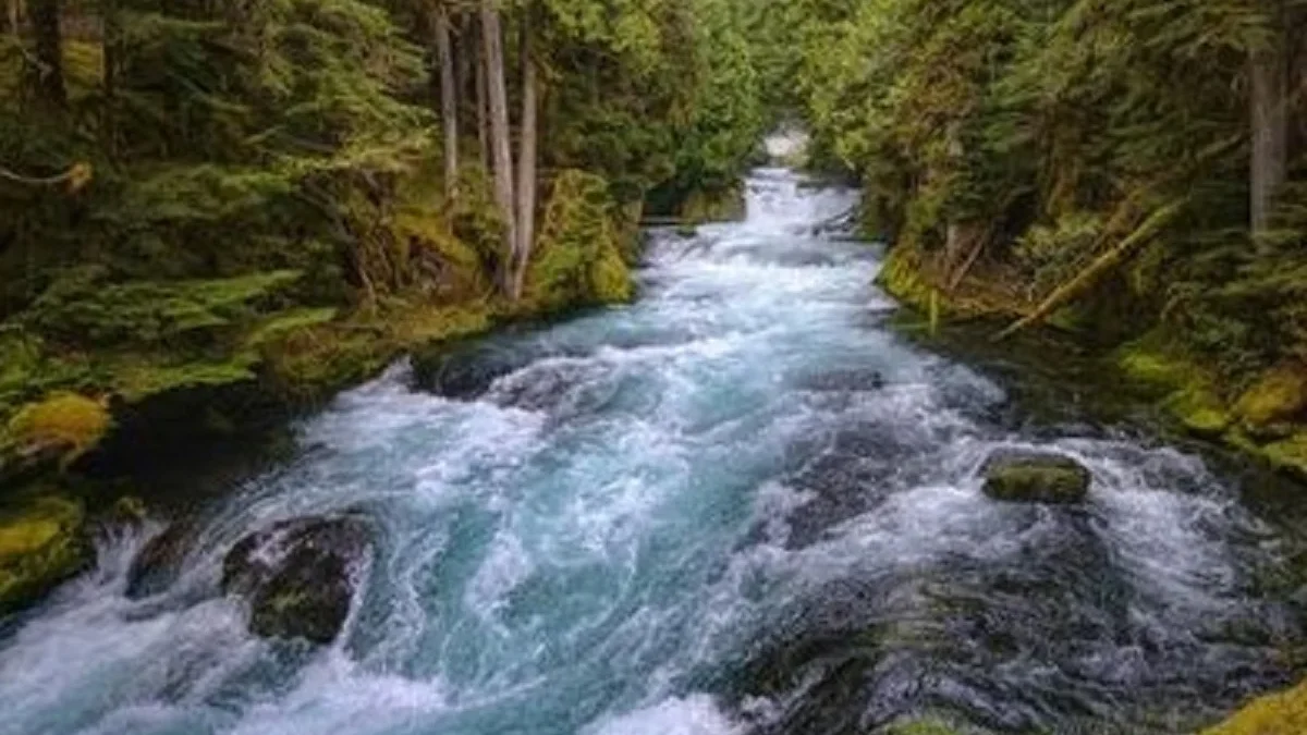 10 Sungai Terbersih Di Dunia, Sangat Cocok Untuk Berwisata dan Juga Bisa Berenang dengan Tenang 