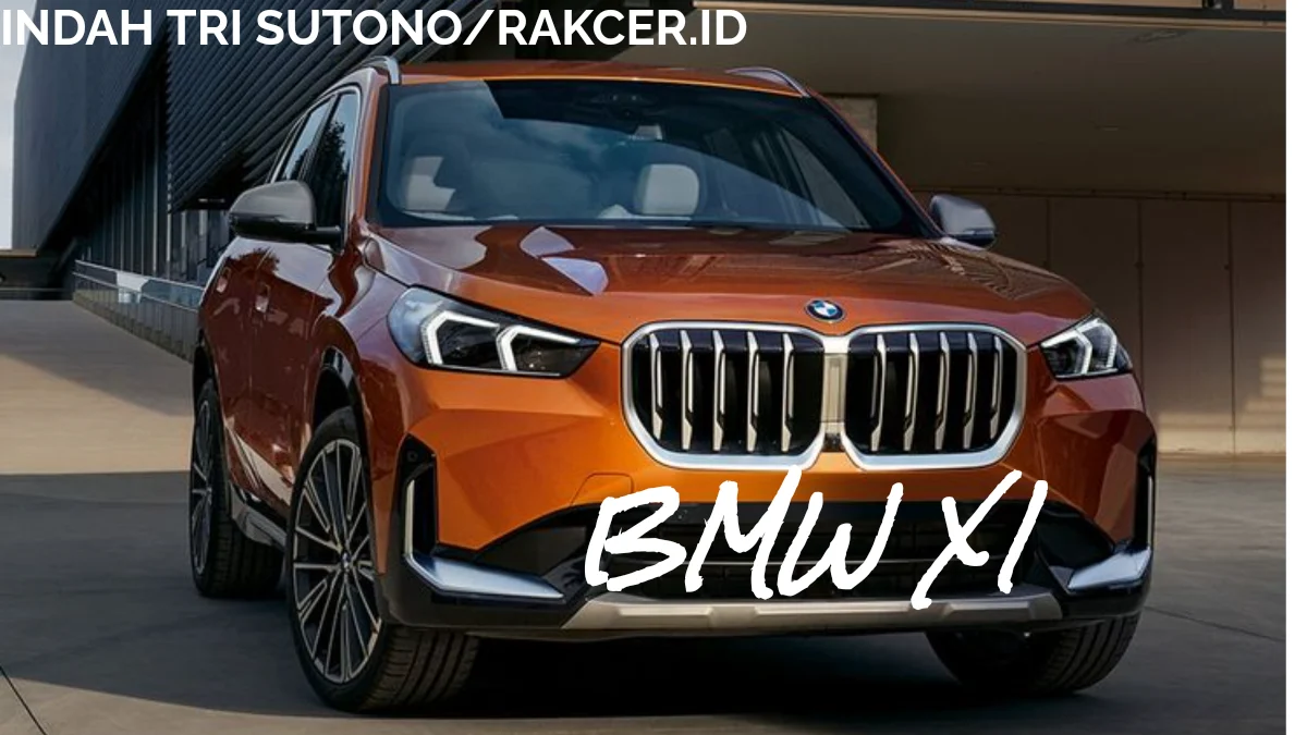 Menggabungkan Kemewahan dengan Kesenangan dari Interior BMW X1yang Gunakan Kayu Merpati, Kayu Merpati Itu Apa?