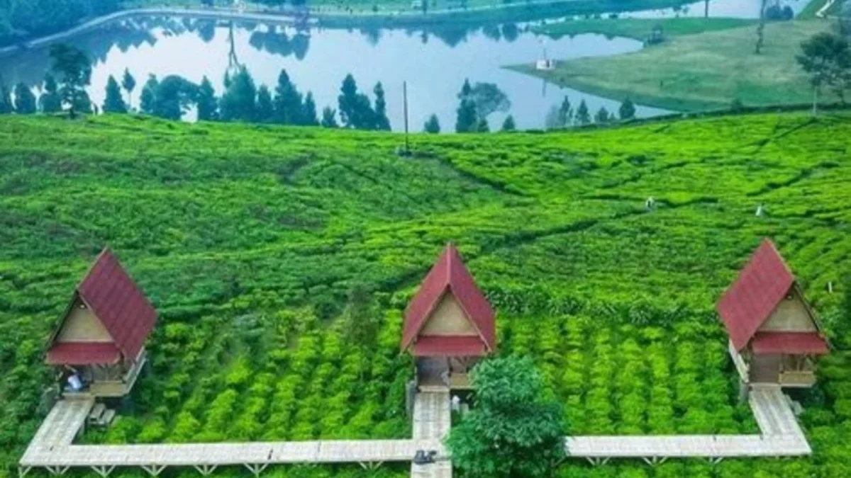 Menikmati Liburan Seru di Puncak Langit Camping Ground, Destinasi Wisata Berkemah Favorit di Bogor